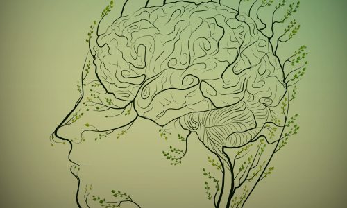 Man,Brain,Looks,Like,Tree,With,Green,Branches,,Herbal,Medicine Man,Brain,Looks,Like,Tree,With,Green,Branches,,Herbal,Medicine