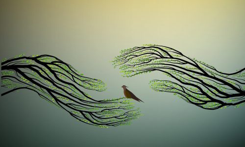 Human,Hands,Look,Like,Tree,Branches,Covering,The,Bird,,Protect Human,Hands,Look,Like,Tree,Branches,Covering,The,Bird,,Protect